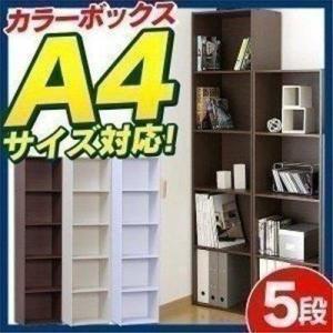 IRIS OHYAMA（アイリスオーヤマ） カラーボックス 収納 2個セット 収納