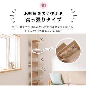 キャットタワー 木製 突っ張り クリアステップ...の詳細画像2