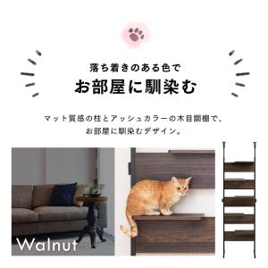キャットタワー 木製 突っ張り クリアステップ...の詳細画像4