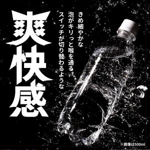炭酸水 1L 15本 強炭酸水 ラベルレス レ...の詳細画像5