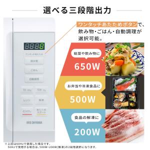 電子レンジ 単機能 17L ターン ターンテー...の詳細画像5