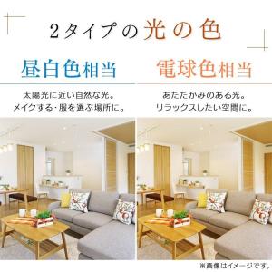 電球 LED LEDフィラメント電球 ミニクリ...の詳細画像4