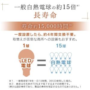 電球 LED LEDフィラメント電球 ミニクリ...の詳細画像5