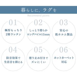 ラグ 冬用 カーペット ラグマット 3畳 3畳...の詳細画像2