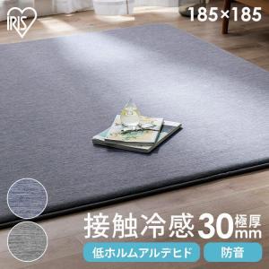 ラグ カーペット ラグマット 厚手 2畳 夏用 おしゃれ 冷感 夏 絨毯 撥水 遮音 接触冷感 アイリスオーヤマ ラクッションラグ ACR2C-1818 *｜petkan