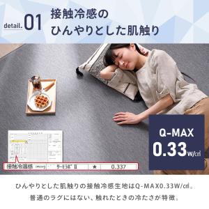 ラグ カーペット ラグマット 厚手 2畳 夏用...の詳細画像5