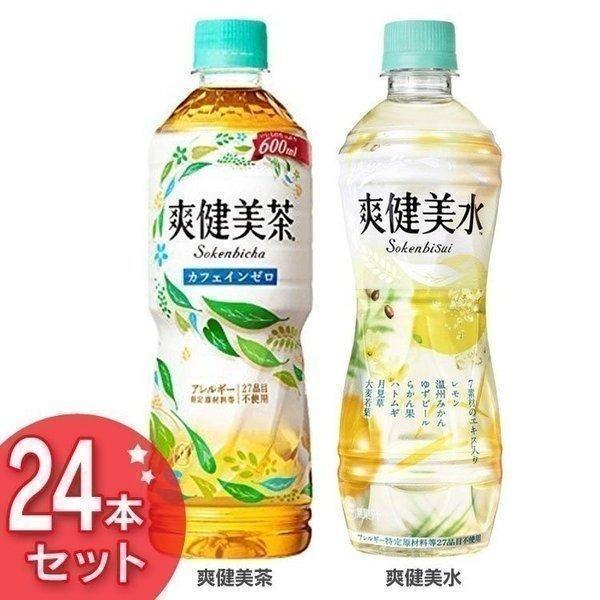 爽健美茶 24本 お茶 ペットボトル ボトル茶 PET 600ml (D)