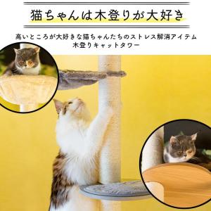 キャットタワー 木製 突っ張り 猫タワー おし...の詳細画像1