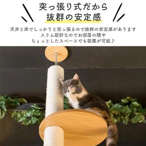 キャットタワー 木製 突っ張り 猫タワー おし...の詳細画像3