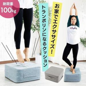 トランポリン クッション型 クッション トランポリンキューブクッション TPCC-4545