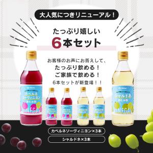 飲む酢 6本 セット マルカン酢 リンゴ酢仕立...の詳細画像3