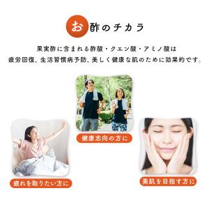 リンゴ酢 有機 りんご酢 内堀醸造 有機りんご...の詳細画像3