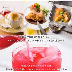 リンゴ酢 有機 りんご酢 内堀醸造 有機りんご...の詳細画像4
