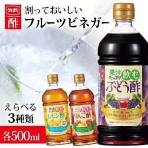 福山黒酢 桷志田 宝 五年熟成 500ml × 2本 黒酢 爆買 : にっぽん