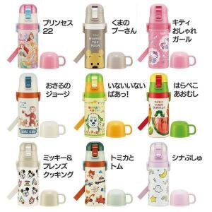 水筒 ボトル 超軽量 保冷 キャラクターボトル ディズニー ストロー飲み コップ飲み ステンレス 子供用 超軽量 2WAY SKCP3 スケーター (D) 新生活｜petkan