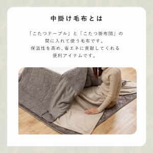 こたつ中掛け毛布S M L 洗える 掛け布団 ...の詳細画像2