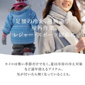 カイロ 貼らない 貼らないカイロ 60枚 (1...の詳細画像1