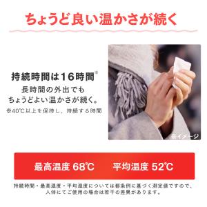 カイロ 貼らない 貼らないカイロ 60枚 (1...の詳細画像3