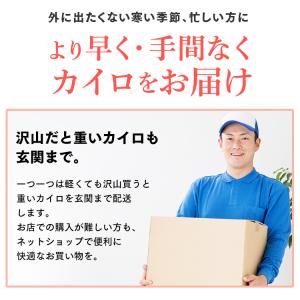 カイロ 貼らない 貼らないカイロ 60枚 (1...の詳細画像4