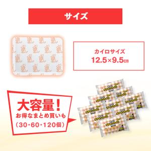 カイロ 貼らない 貼らないカイロ 60枚 (1...の詳細画像5