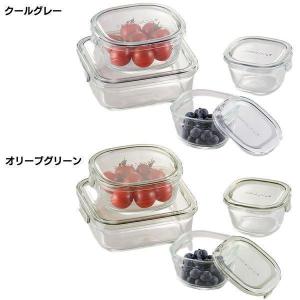 iwaki（イワキ） 保存容器 耐熱ガラス ガラス 密閉 耐熱 保存 パック