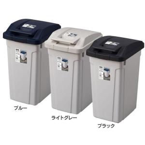 ゴミ箱 インテリア ダストボックス ハンドル付 分別ペール35L A6648 (D)(B)｜petkan