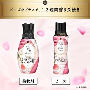 (6個セット)柔軟剤 詰め替え レノア レノア...の詳細画像1