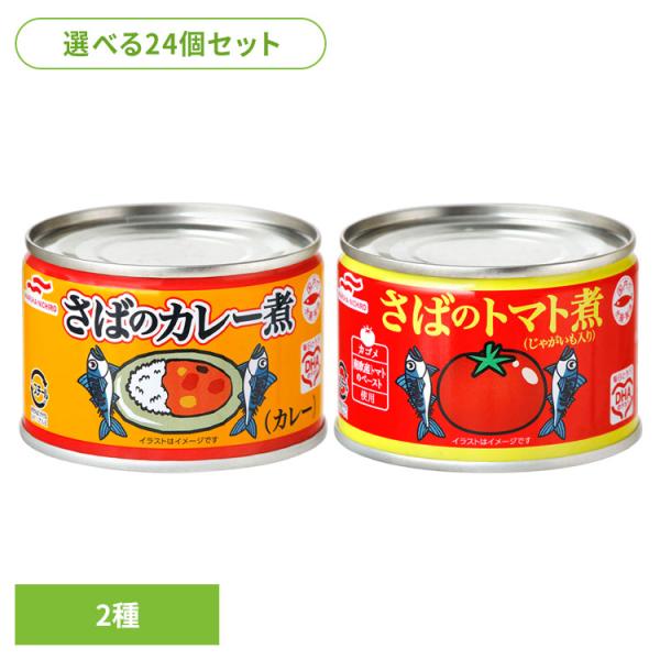 食品 缶詰 缶詰 サバ カレー煮(24個)さば缶詰 58627 マルハニチロ