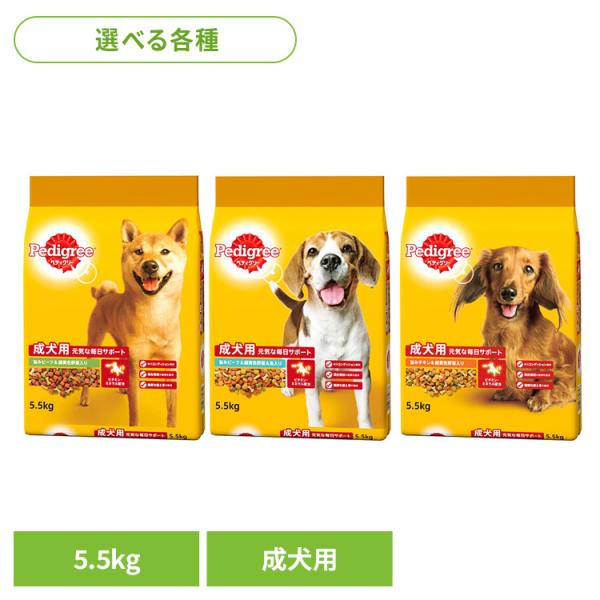 ドッグフード Pedigree ペディグリー 成犬用 緑黄色野菜入り 5.5kg PDN3 マースジ...