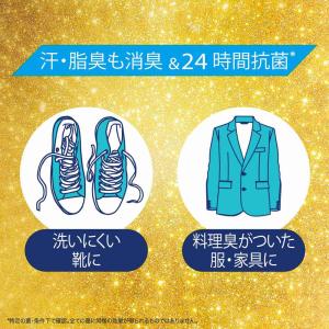 P&G ファブリーズ消臭+除菌プレミアム 詰替...の詳細画像4