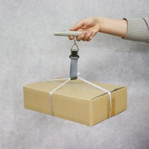 ドリテック 荷物はかり ラゲッジスケール LS...の詳細画像3