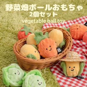 犬 おもちゃ ボール 2個セット 投げる トウ...の詳細画像1