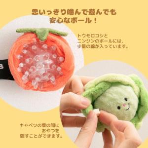 犬 おもちゃ ボール 2個セット 投げる トウ...の詳細画像4