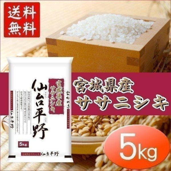 米 5kg 送料無 米5kg ササニシキ 米 5キロ お米 宮城県産ササニシキ ささにしき 仙台平野...