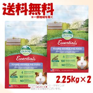 OXBOW（オックスボウ） 《ポイント4倍》OXBOW エッセンシャル アダルト