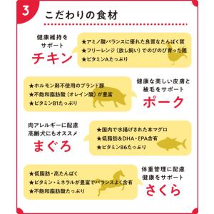 Smiley さめdeli 600g ×18個...の詳細画像4