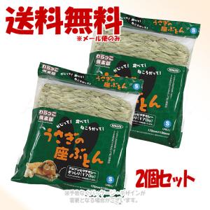 《ポイント3倍》KAWAI わらっこ倶楽部 うさぎの座ぶとん S × 2個セット [川井]