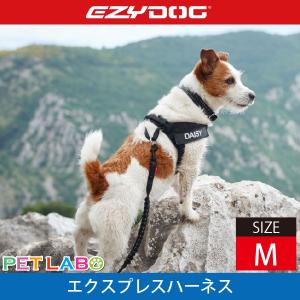 イージードッグ　コーデュロイ コレクション　大型犬 EZYDOG(イージードッグ) エクスプレスハーネス・コーデュロイ
