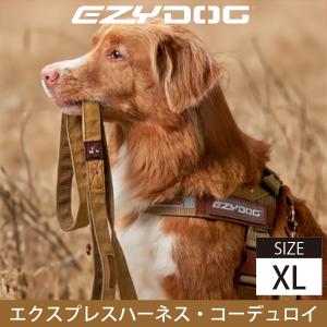 EZYDOG イージードッグXS 犬用ライフジャケット Amazon | EZYDOG(イージードッグ) [正規代理店品] DFD