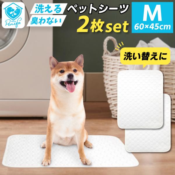 【 2枚セット 】 洗えるペットシーツ Mサイズ 60×45cm 犬 猫 繰り返し使える 洗える ペ...
