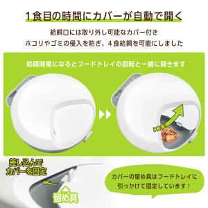 自動給餌器 猫 犬 自動 ウェットフード トレ...の詳細画像4