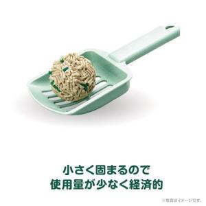 デオサンド 緑茶成分入り消臭する砂 ( 5L*...の詳細画像3