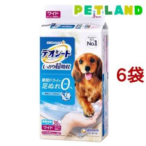 クリーンワン 消臭炭シート ダブルストップ レギュラー ( 100枚入×4袋