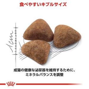 ロイヤルカナン フィーライン ヘルス ニュート...の詳細画像3