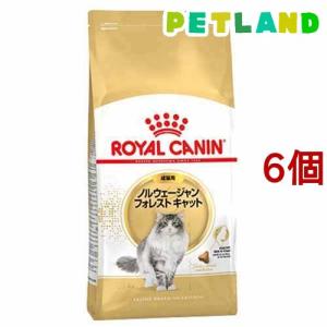 ロイヤルカナンFBN  ノルウェージャン フォレストキャット 成猫 ( 2kg*6コセット )/ ロイヤルカナン(ROYAL CANIN) ( キャットフード )