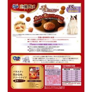 銀のスプーン 三ツ星グルメ 腎臓の健康維持用 ...の詳細画像1