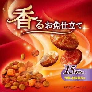 銀のスプーン 三ツ星グルメ 腎臓の健康維持用 ...の詳細画像2