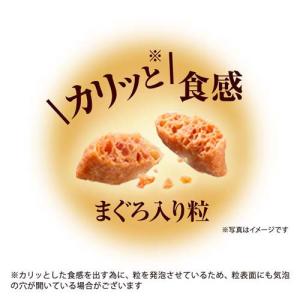 銀のスプーン 三ツ星グルメ 腎臓の健康維持用 ...の詳細画像5
