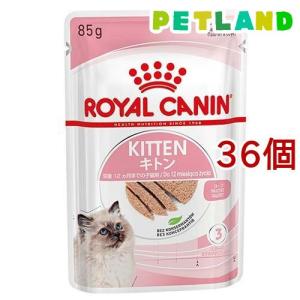 アイシア（AIXIA） 【40g×48袋】アイシア 子猫のための健康缶パウチ