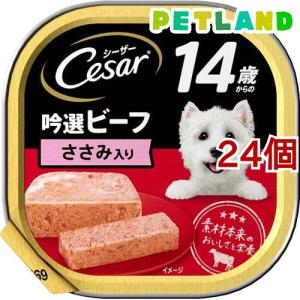 デオシート 消臭＆フレグランス 気分和む金木犀の香り ワイド 犬用